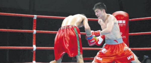 Les gants dopés de la boxe marocaine