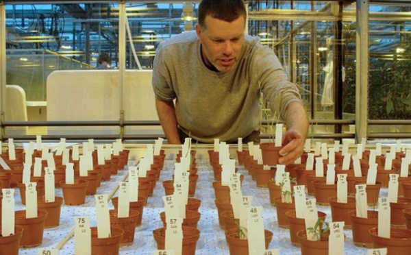 Des aliments cultivés dans une terre similaire au sol martien propres à la consommation