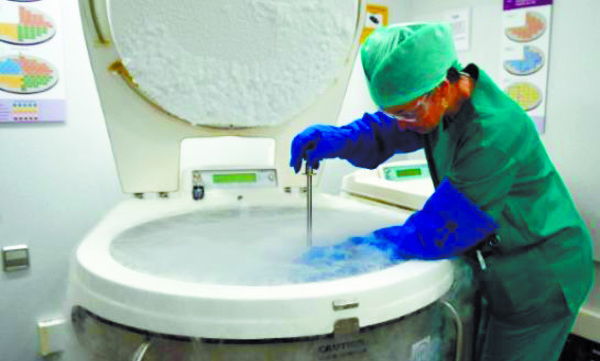 Santé : L'Espagne, Eldorado de la procréation médicalement assistée