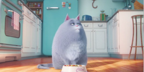 “Comme des bêtes” s’empare de la tête du box-office nord-américain