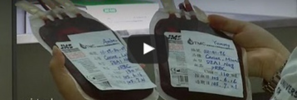 Taïwan : des chiens donneurs de sang - science