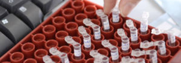 Adoption du projet de loi relatif  à la lutte contre les produits dopants