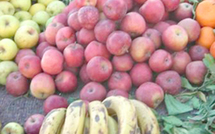 Grève des transporteurs : Les producteurs des fruits et légumes appellent à «des solutions rapides»