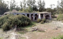Les vestiges de la ferme Pierrard dans la forêt de Chiadma