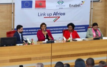 Etudiants et lauréats subsahariens mis au fait du projet “Link up Africa ”