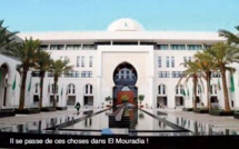 Piètres gags à l’algérienne