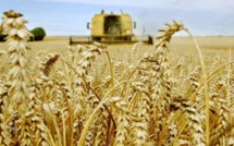 Entre Plan Maroc Vert et Génération Green. L’agriculteur voit rouge