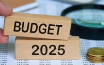 Emploi et pouvoir d'achat. Les parents pauvres du PLF 2025 Emploi et pouvoir d'achat. Les parents pauvres du PLF 2025