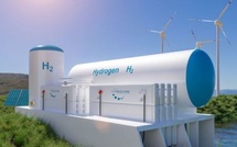 Les perspectives d'attrait de nouveaux IDE concernent l'automobile et l'hydrogène vert Les perspectives d'attrait de nouveaux IDE concernent l'automobile et l'hydrogène vert