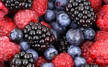 Les professionnels des fruits rouges en conclave à Agadir Les professionnels des fruits rouges en conclave à Agadir