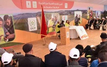 El Jadida : Le dispositif "Al Moutmir itinérant" fait escale à Chtouka El Jadida : Le dispositif "Al Moutmir itinérant" fait escale à Chtouka