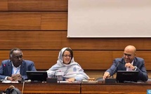 Droit au développement en Afrique du Nord : Des experts mettent en avant l'expérience singulière du Maroc Droit au développement en Afrique du Nord : Des experts mettent en avant l'expérience singulière du Maroc