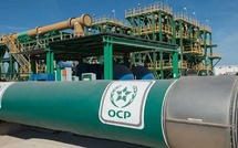 OCP enregistre un chiffre d’affaires de 97 MMDH en 2024 OCP enregistre un chiffre d’affaires de 97 MMDH en 2024
