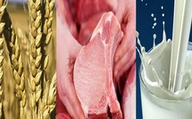 Hausse  des cours des céréales, de la viande et des produits laitiers à l’échelle mondiale