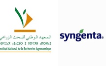 Productivité agricole : L’INRA et Syngenta présentent les résultats des essais menés dans le cadre de leur partenariat 2021-2024