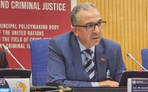 L'Initiative Royale visant à faciliter l’accès des pays du Sahel à l’océan Atlantique mise en exergue à Vienne