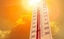 Retour de la canicule