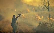 L’ANEF appelle à la vigilance face au risque d'incendies dans plusieurs régions du Royaume