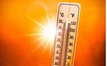 Retour de la canicule