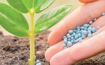 OCP Nutricrops dépasse les 5 millions de tonnes de production de TSP
