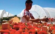 Vivement une refonte d’un modèle agricole lamentablement raté