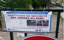 L'aménagement de la forêt Maamora à Sala Aljadida : Un rendez-vous raté