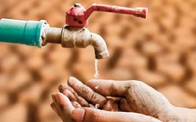 Entre sécheresse désolante et gestion désespérante Entre sécheresse désolante et gestion désespérante