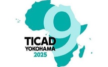 Mise en exergue de la Vision et des Initiatives de Sa Majesté le Roi en Afrique