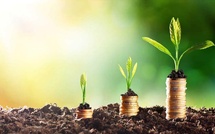 La préservation de la nature, un atout pour la croissance et l’emploi