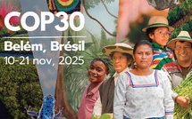 Ce que les Africains attendent de la COP30 Ce que les Africains attendent de la COP30