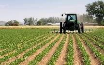 Boujdour : Des projets hydro-agricoles d'envergure pour une agriculture durable au cœur du Sahara