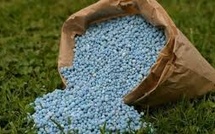 Le Maroc renforce sa présence sur le marché brésilien des engrais