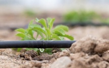 La durabilité hydrique passe par la mise en place de solutions fondées sur la nature