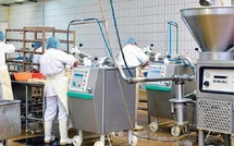 Agroalimentaire : Une délégation économique indienne visite la région Souss-Massa