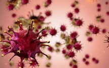 Un virus familier, une dynamique nouvelle