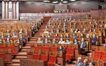 Vers la mise en place de mécanismes supplémentaires pour renforcer la représentation des femmes au Parlement et leur contribution à la création des partis politiques