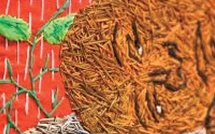 Vernissage d'une exposition nationale retraçant "60 ans de peinture au Maroc"