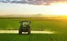 Settat : Les récentes précipitations de bon augure pour l’agriculture et les nappes phréatiques