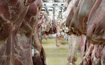 Recul des prix mondiaux des produits alimentaires en décembre 2025