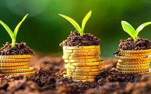 Le PNUD Maroc fédère les investisseurs autour de la croissance durable