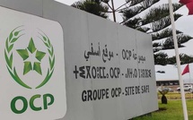 L’AIEA et le groupe OCP unissent leurs efforts pour des systèmes alimentaires résilients