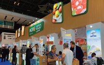 Fruit Logistica 2026 : Les opérateurs marocains mobilisés autour d’une offre agricole intégrée et certifiée