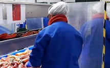 Andalousie : Participation marocaine à une rencontre commerciale dédiée à l'agroalimentaire