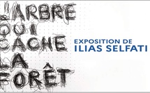 Vernissage d’une exposition de l’artiste-peintre Ilias Selfati
