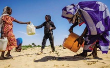 L'Afrique doit convertir ses objectifs climatiques en stratégies écologiques
