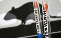 Hantavirus en mer, confinement aux Canaries