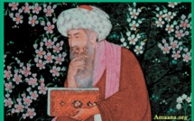 Ibn Arabi “Doctor maximus”